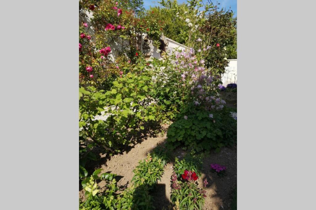 La Roseliere Maison Plain Pied Confortable Belle Decoration Jardin Magnifique 10 Mn A Pied Centre Ville Bayeux Proche Plages Du Debarquement Exteriör bild